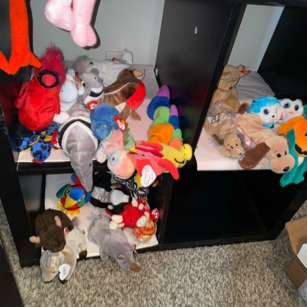 Ty Plush Toy Collection - YOU PICK!
